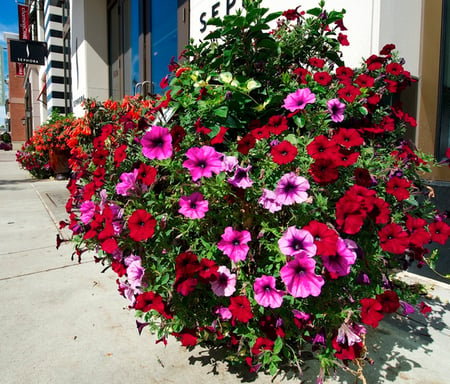 decorative planters can brighten up a dull storefront