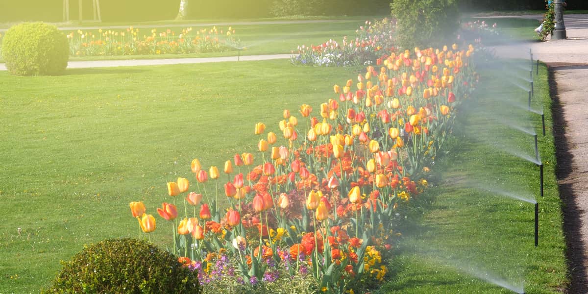 smart-irrigation-systems