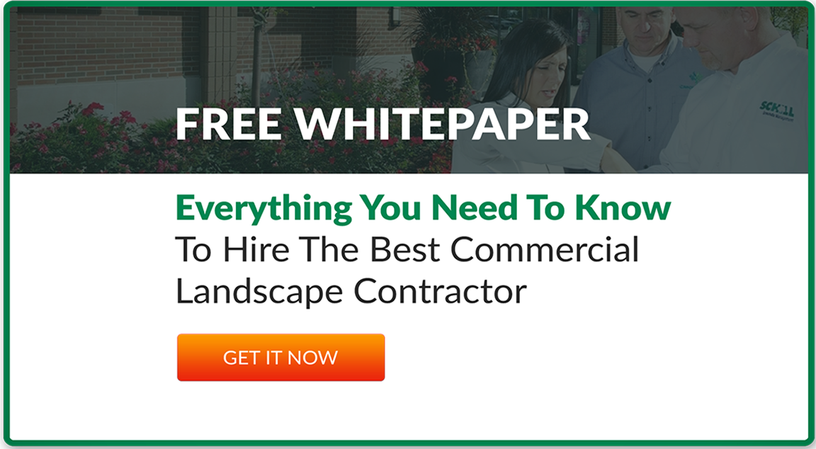 Read our FREE landscape hiring guide whitepaper
