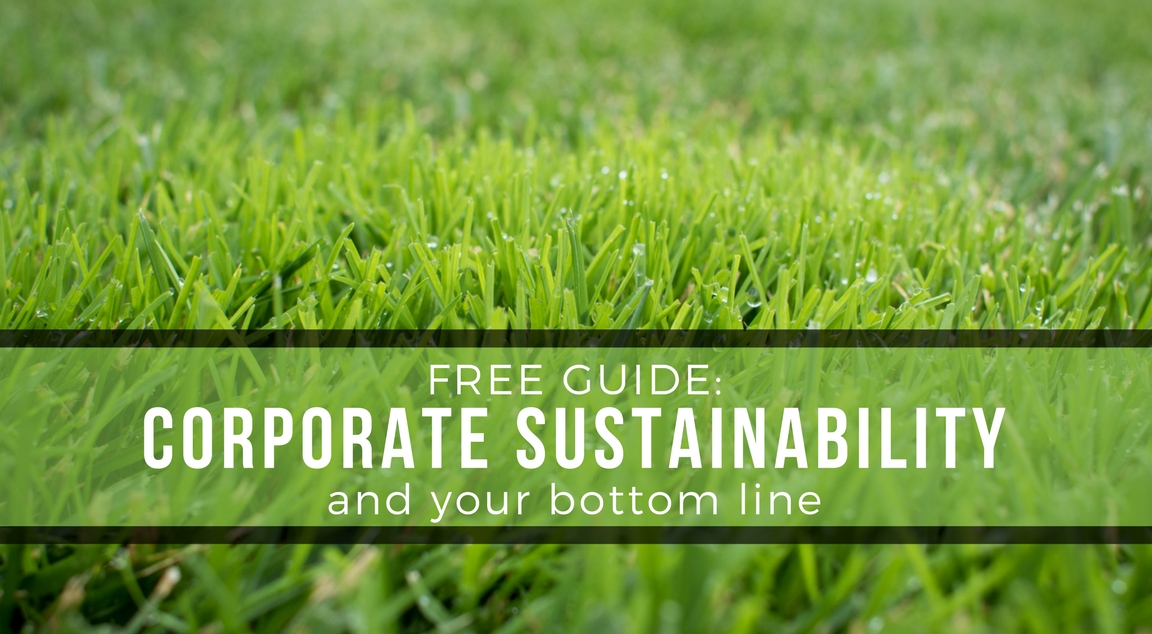 Get our FREE position paper on corporate sustainability