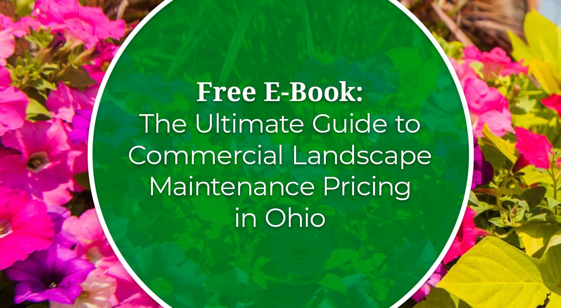 The Ultimate Guide to Commercial Landscape Maintenance Pricing in Ohio