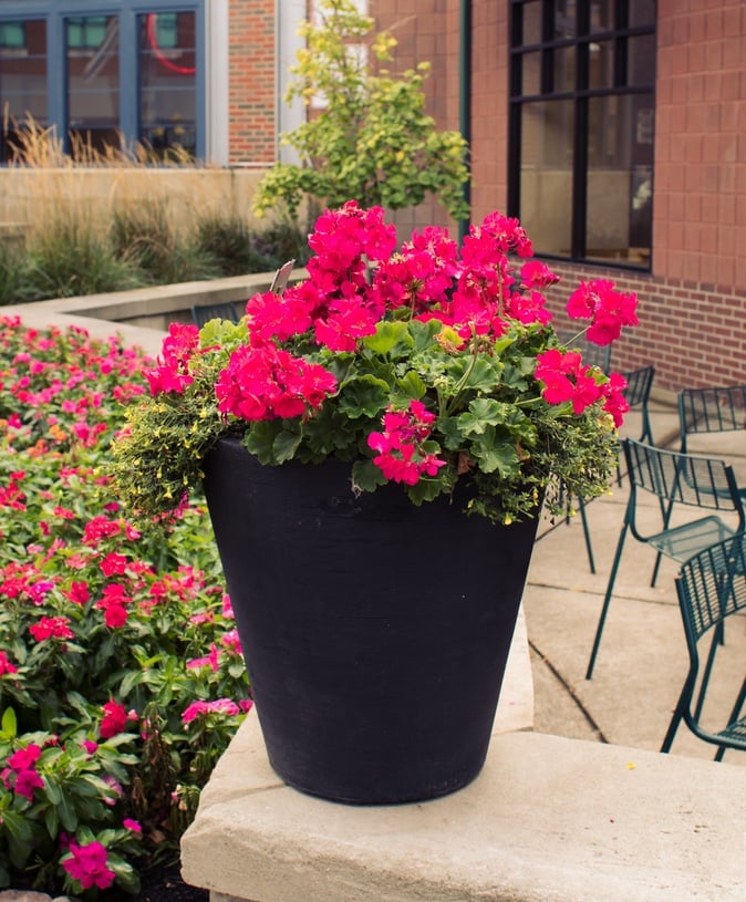 Commercial landscaping services flower pot