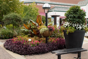 Garden bed at commercial property maintained by Schill Landscaping