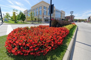  Schill commercial landscape, orange flowers in garden bed next to road