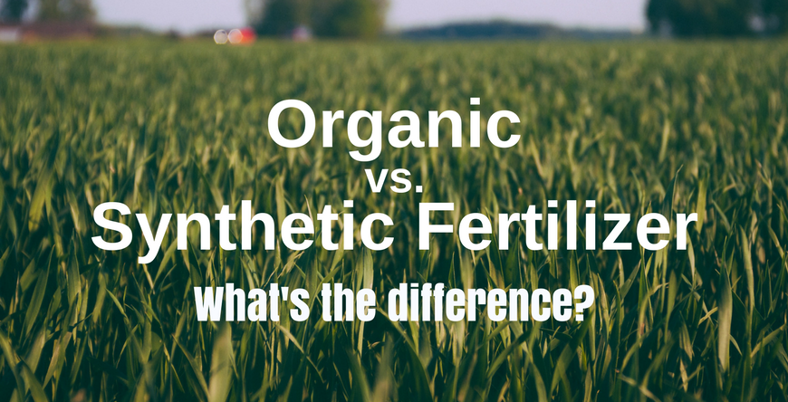 organic v synthetic fertilizer on landscape
