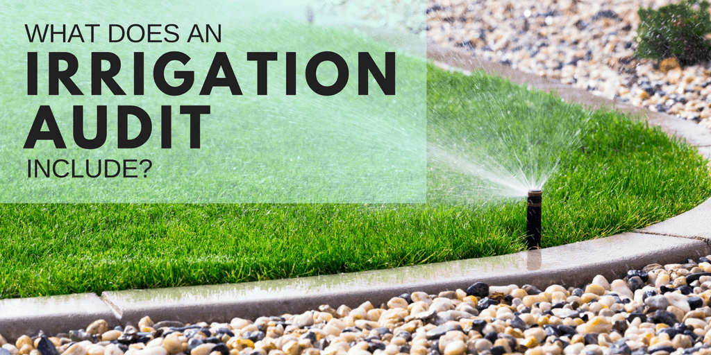 what does an irrigation audit include sprinkler watering landscape