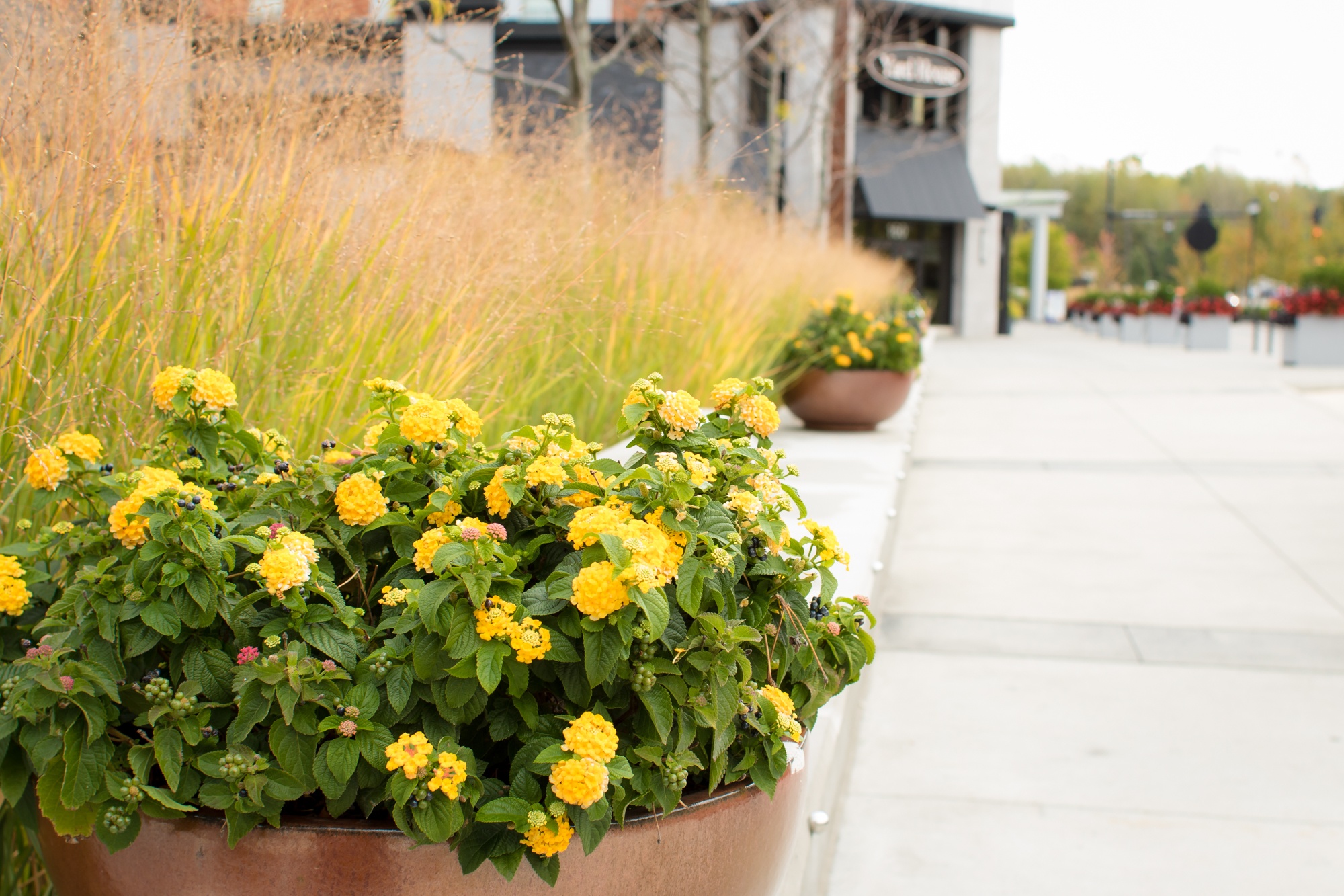 Flower arrangement at Crocker Park