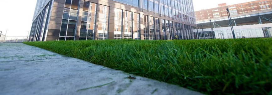 slow-release fertilizer is part of winterizing your lawn